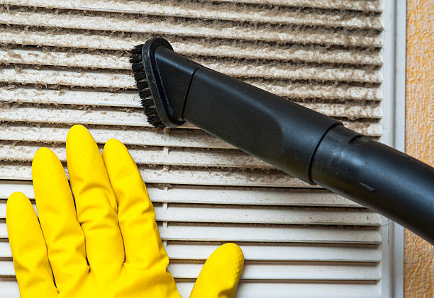 Best Air Duct Mold Removal  in La Ada Flintridge, CA
